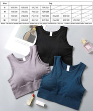 Load image into Gallery viewer, Women Yoga Crop Top Sports Bra - Hyshina
